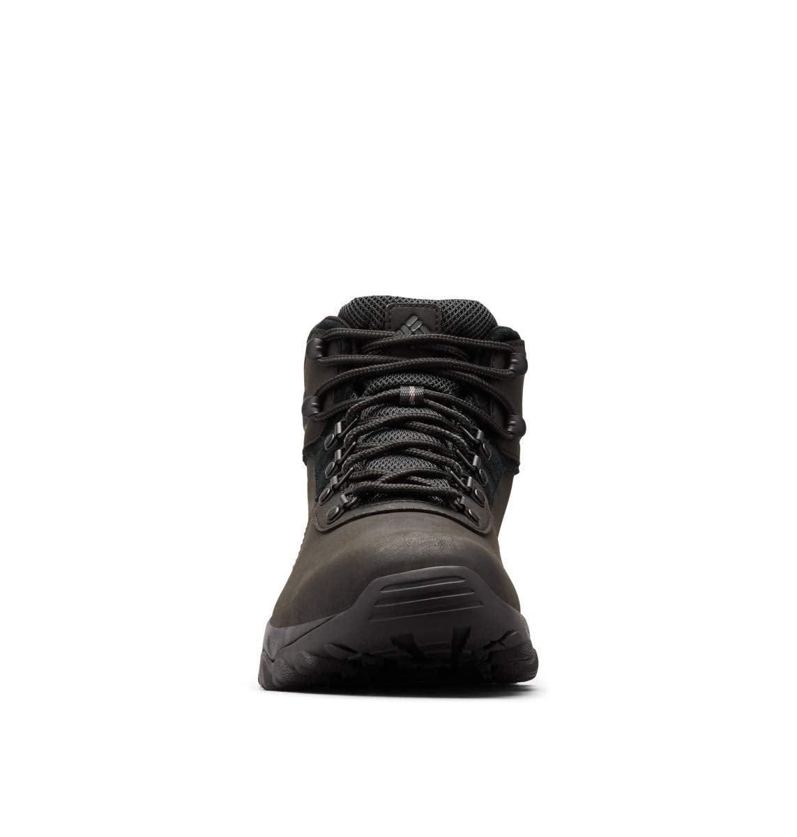 Columbia mens Newton Ridge Plus Ii Waterproof Boot Hiking Shoe, Black/Black, 10.5 Wide US