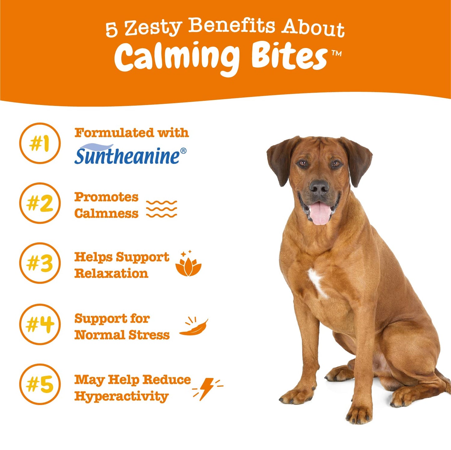 Zesty Paws Calming Chews for Dogs - Dog Calming Chews for Composure & Relaxation - Dog Calming Treats for Everyday Stress & Separation - Turkey - 90 Count