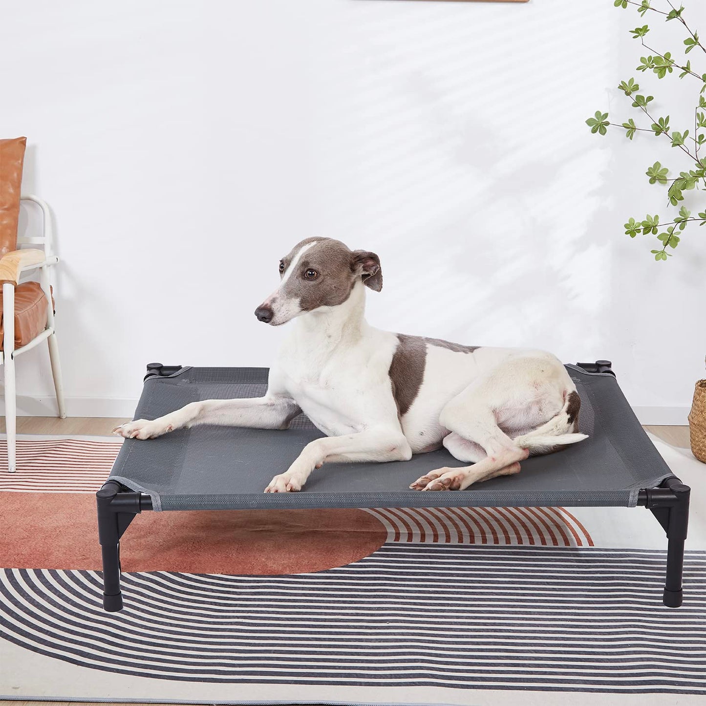 pettycare Elevated Outdoor Dog Bed - Raised Dog Bed for Large Dogs, Heavy Duty Dog Cot Bed Waterproof, Cooling Elevated Dog Bed with Washable Breathable Teslin Mesh, Durable, Non Slip, 42 Inches, Grey