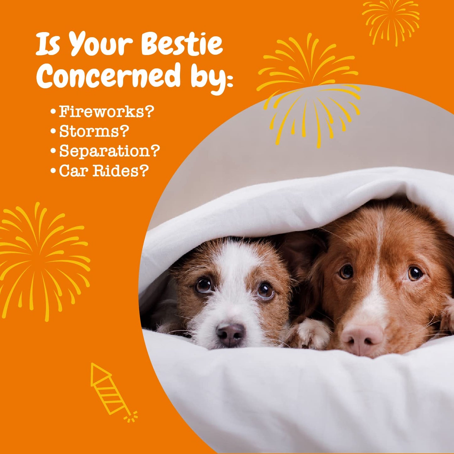 Zesty Paws Calming Chews for Dogs - Dog Calming Chews for Composure & Relaxation - Dog Calming Treats for Everyday Stress & Separation - Turkey - 90 Count