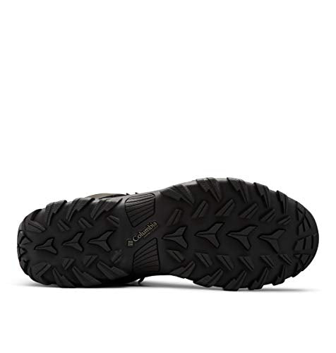 Columbia mens Newton Ridge Plus Ii Waterproof Boot Hiking Shoe, Black/Black, 10.5 Wide US