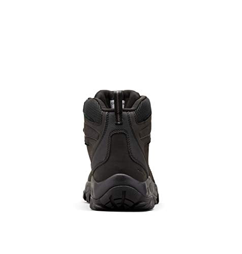 Columbia mens Newton Ridge Plus Ii Waterproof Boot Hiking Shoe, Black/Black, 10.5 Wide US