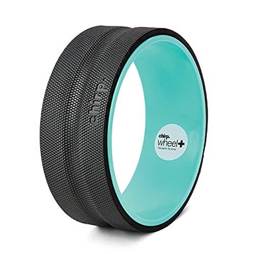 Chirp Wheel Foam Roller - Targeted Back Foam Roller for Back Pain Relief, Deep Tissue Muscle Massage, Trigger Point Round Foam Roller, High Density Foam Roller for Physical Therapy & Exercise, 12 Inch