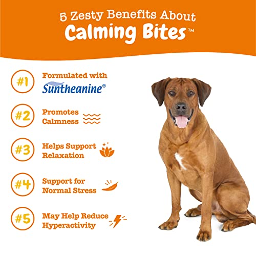 Zesty Paws Calming Chews for Dogs - Dog Calming Chews for Composure & Relaxation - Dog Calming Treats for Everyday Stress & Separation - Turkey - 90 Count