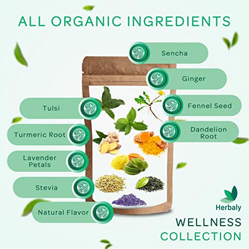 Herbaly Wellness Collection Tea - 8 Active Herbs - Improve General Health, Strengthen Immunity - Natural, Organic, Non-GMO, Vegan, Sugar Free - 2 Pack, 56 Pyramid Tea Bags