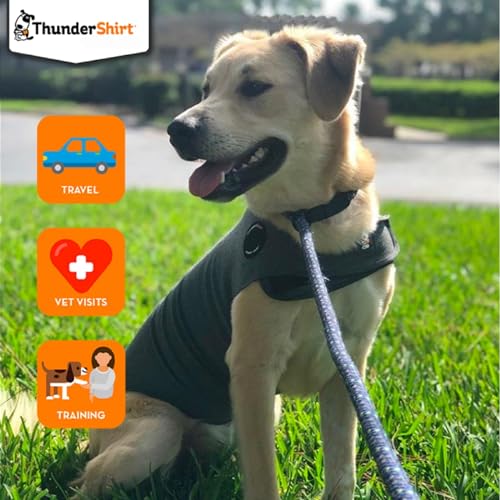 ThunderShirt for Dogs, Small, Heather Gray Classic - Dog Anxiety Relief Calming Vest