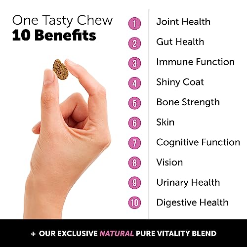 Pet Honesty Dog Dental Health - Vitamins for Teeth & Gums - Dog Vitamins and Supplements for Dog Dental Care