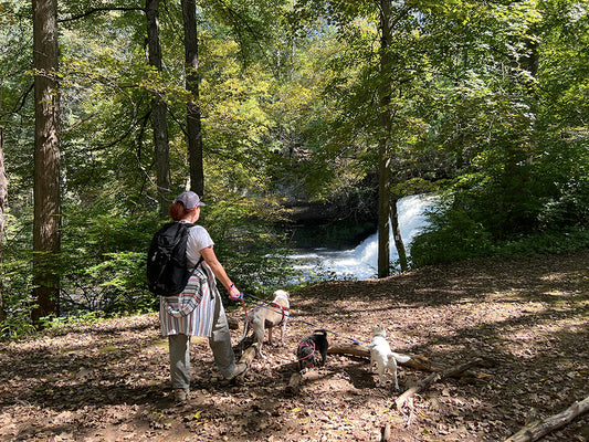 Reconnect with Nature: Hiking Adventures on GoodKarmaDay.com