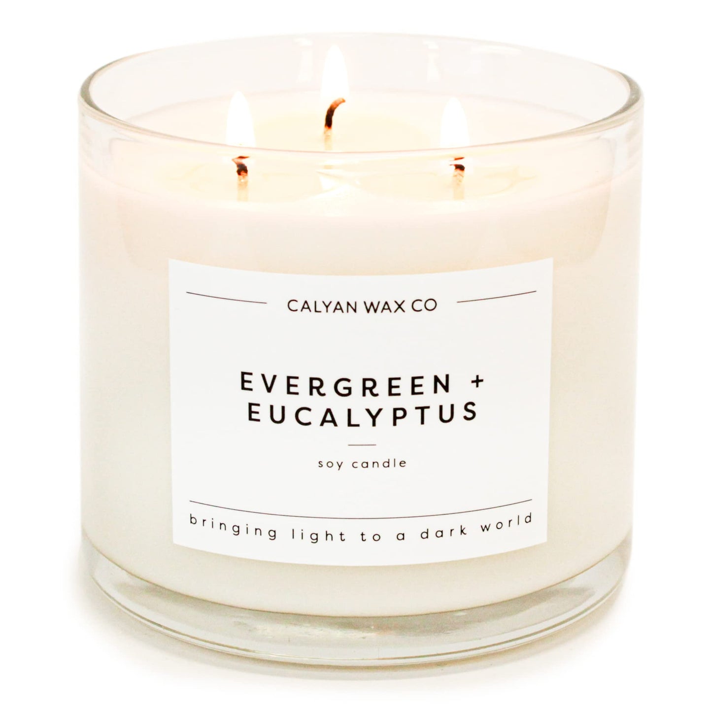 Calyan Wax Soy Wax Candle, Evergreen Eucalyptus, 3 Wick Scented Candle for The Home | Premium Candle with Essential Oils | 14.9 oz Soy Wax, 43 Hour Burn Time, Large Candle in Glass Jar