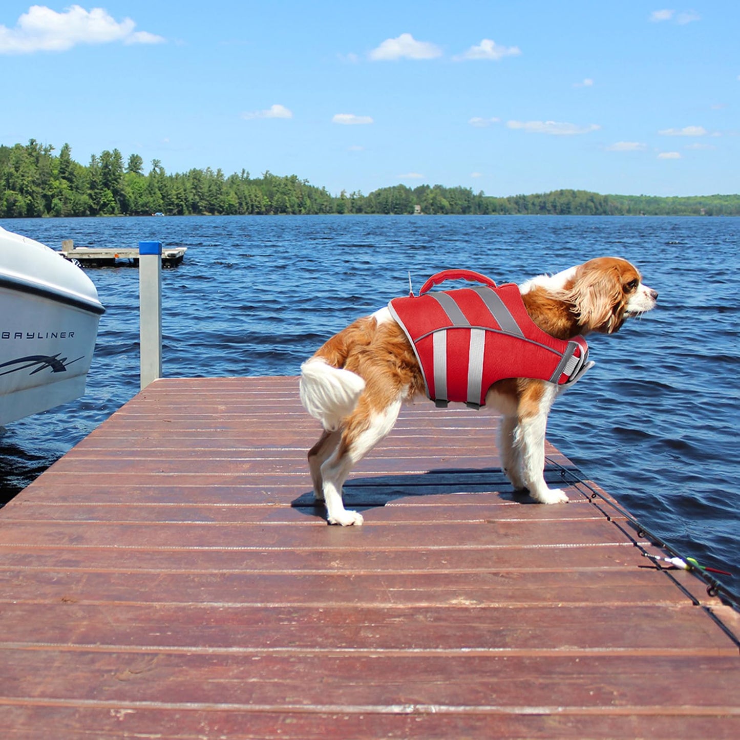 Kuoser Dog Life Jacket with Reflective Stripes, Adjustable High Visibility Dog Life Vest Ripstop Dog Lifesaver Pet Life Preserver with High Flotation Swimsuit for Small Medium and Large Dogs