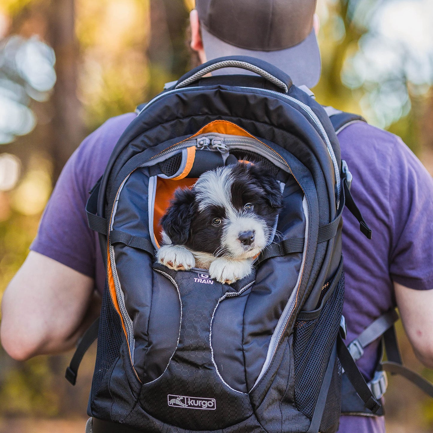 Kurgo G-Train - Dog Carrier Backpack for Small Pets - Cat & Dog Backpack for Hiking, Camping or Travel - Waterproof Bottom - Navy Blue