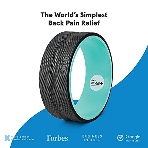 Chirp Wheel Foam Roller, Gentle Body Roller, Sweat-Resistant Foam Padding, Back Stretcher, Targeted Muscle Yoga Wheel, Supports Back Pain Relief, PVC-Free, Deep Massage, Holds Up to 500 lbs - 12"